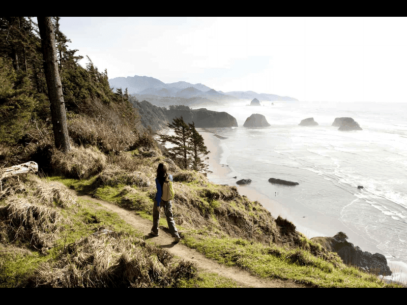 Coastal Trail & Seabird Discovery