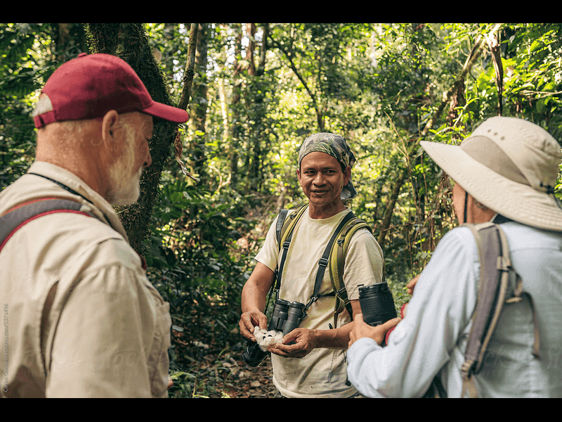 Guided Forest Ecology Tour