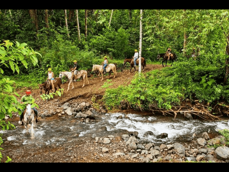 Full-Day Jungle Expedition